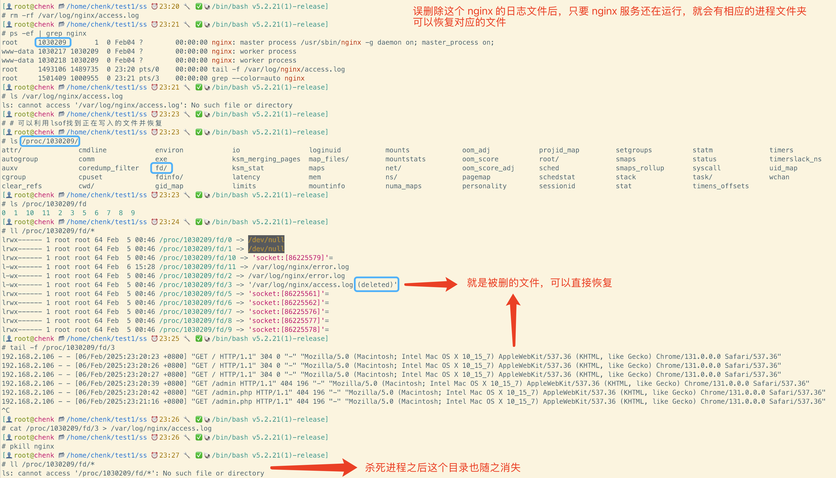 image-20250206233055035